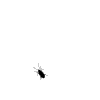 .gif / 8.2KB