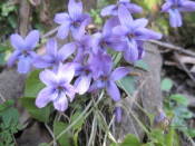 NbNŊg\ ( .jpg / 42.7KB )