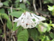 NbNŊg\ ( .jpg / 32.1KB )