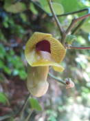 NbNŊg\ ( .jpg / 33.4KB )