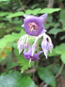 NbNŊg\ ( .jpg / 33.3KB )