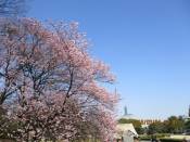 NbNŊg\ ( .jpg / 82.3KB )