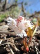 NbNŊg\ ( .jpg / 50.9KB )