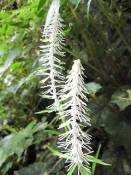 NbNŊg\ ( .jpg / 62.6KB )