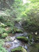 NbNŊg\ ( .jpg / 81.2KB )