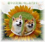 �N���b�N�Ŋg��\�� ( .jpg / 32.9KB )