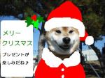 �N���b�N�Ŋg��\�� ( .jpg / 31.9KB )