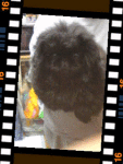 NbNŊg\ ( .gif / 60.8KB )