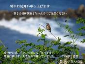 クリックで拡大表示 ( .jpg / 54.2KB )