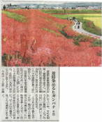 �N���b�N�Ŋg��\�� ( .jpg / 64.1KB )