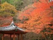 �N���b�N�Ŋg��\�� ( .jpg / 72.4KB )